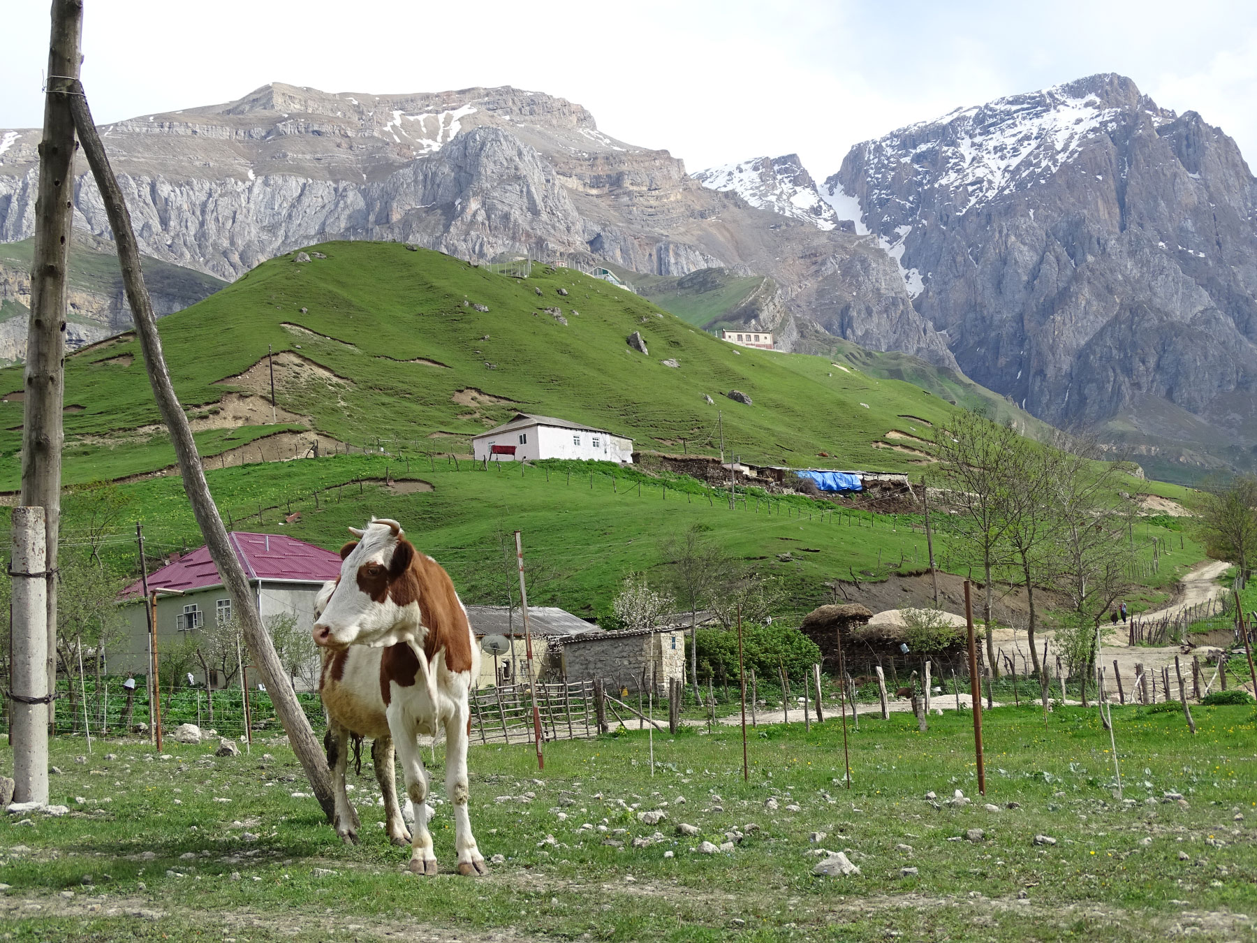 Laza (Photo license: CC BY 2.0)